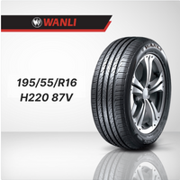 Wanli H220 195/55/R16 87V